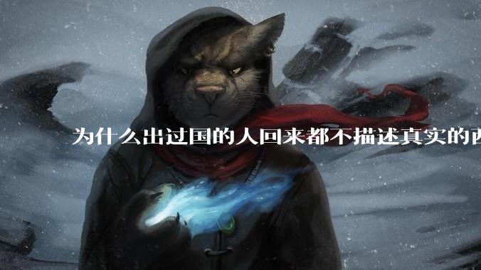 为什么出过国的人回来都不描述真实的西方百姓生活？