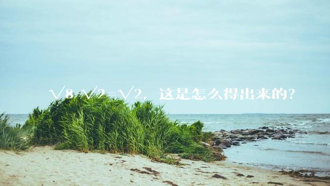√8-√2=√2，这是怎么得出来的？