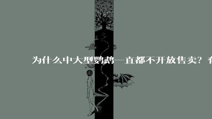 为什么中大型鹦鹉一直都不开放售卖？有哪些原因呢?